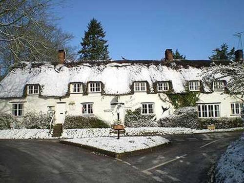 Brace Of Pheasants Hotell Alton Pancras Eksteriør bilde